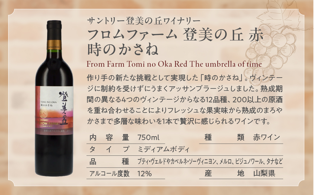 甲斐市ワインワイナリー堪能６本セット 山梨県 甲斐市 AD-252