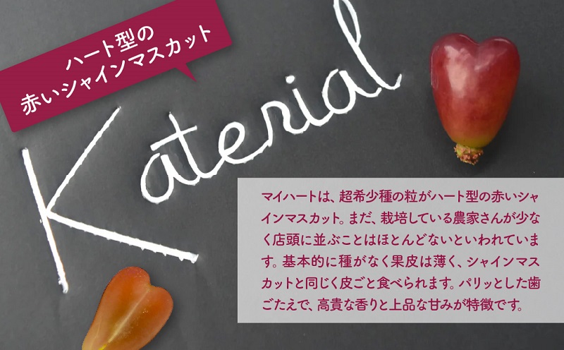 【2026年発送】山梨県産シャインマスカット（1房）&マイハート（1房）約1.2㎏［ぶどう　葡萄　シャイン　シャインマスカット　マイハート　くだもの　果物　フルーツ　人気　2種　詰め合わせ　ギフト　贈答　新鮮　山梨県　山梨　甲斐市］