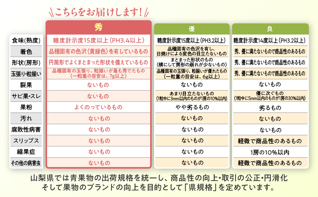 【2025年/令和7年発送分】最高級 山梨県産　シャインマスカット 2～3房 約1.5㎏ 先行予約 産地直送 フルーツ 果物 くだもの ぶどう ブドウ 葡萄 シャイン シャインマスカット 新鮮 人気 おすすめ 国産 贈答 ギフト お取り寄せ 山梨 甲斐市 AN-11