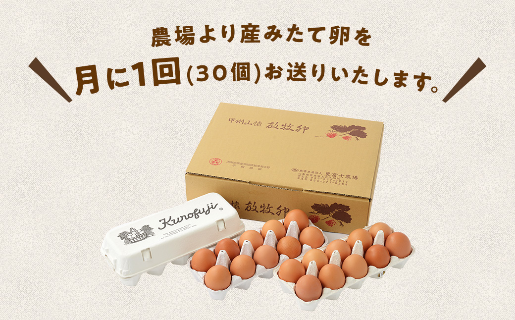 黒富士農場の放牧卵30個×10ヶ月