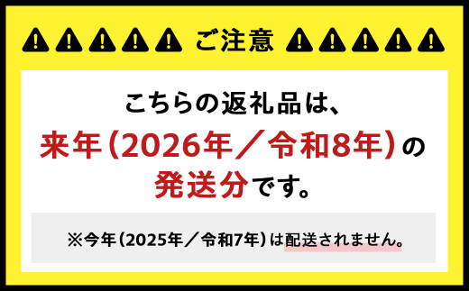 【来年（2026年/令和8年）発送＜先行予約＞】山梨県産　訳あり 2.3kg 3房以上 シャインマスカット 先行予約 国産 産地直送 人気 おすすめ 贈答 ギフト お取り寄せ フルーツ 果物 くだもの ぶどう ブドウ 葡萄 わけあり ワケアリ 新鮮 甘い 皮ごと 甲斐市