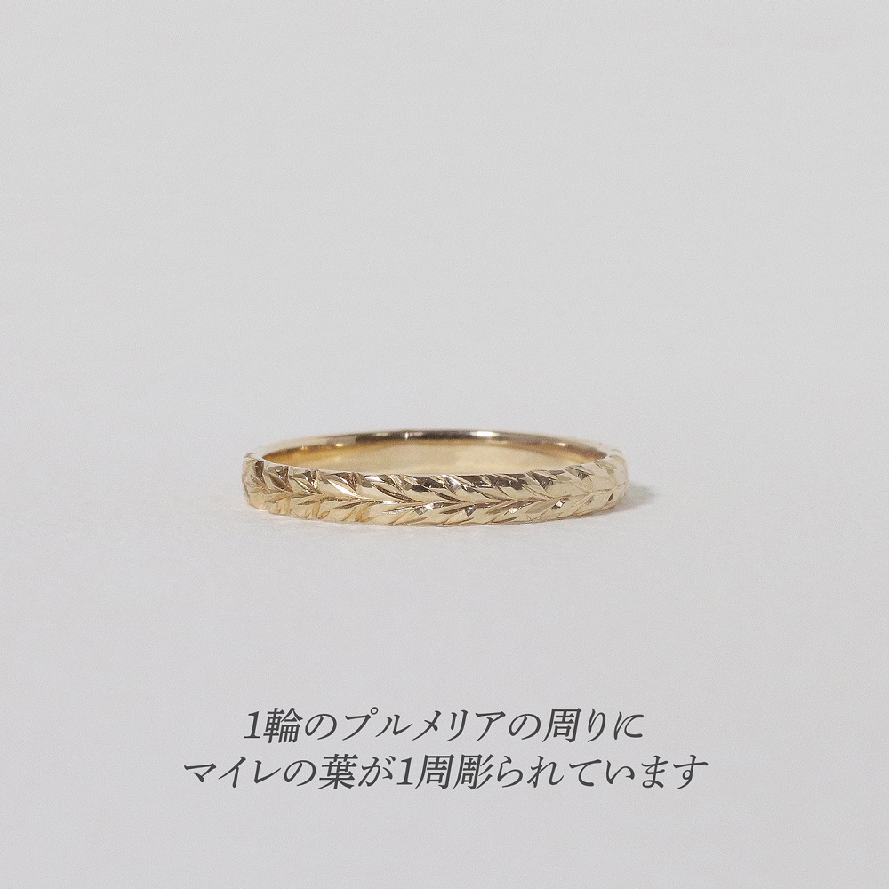 K10 ハワイアンリング　1～5号　BQ-169