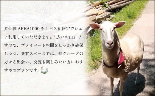 【1日3組限定】AREA1000　遊べるお山で1泊2日　CU-1