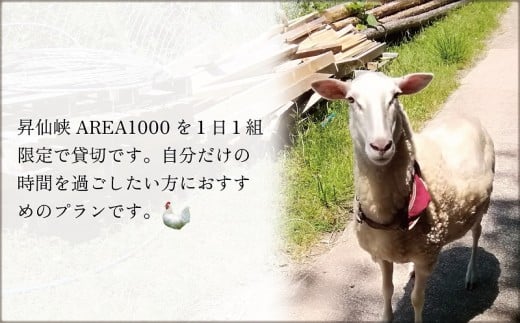【1日1組限定】AREA1000　遊べるお山で1泊2日　CU-2