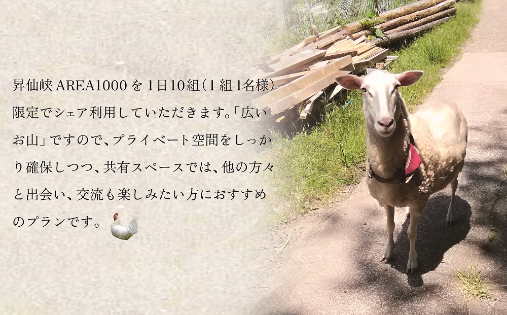 【1日10組限定】AREA1000　遊べるお山でデイキャンプ　CU-3