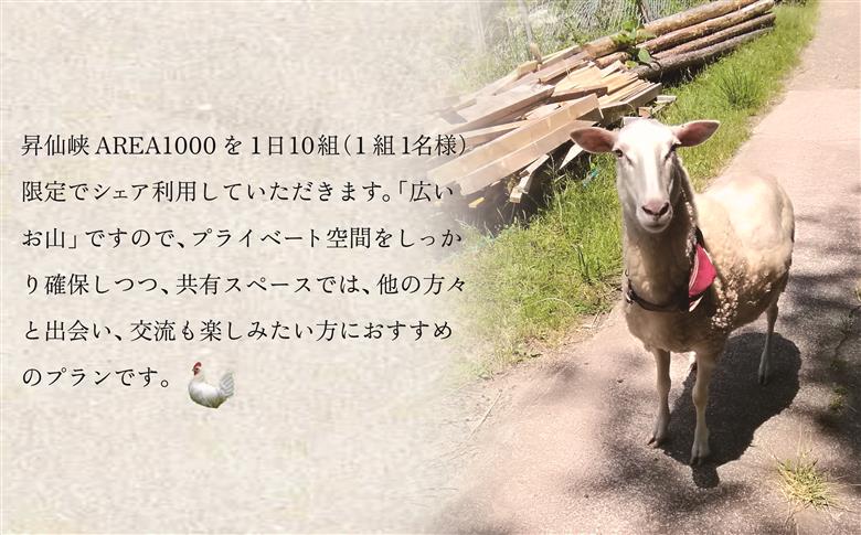 【1日10組限定】AREA1000　遊べるお山で1泊2日　CU-4