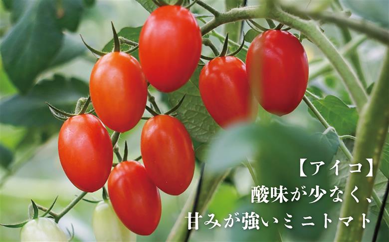 【期間限定（３～７月）】赤坂とまとの完熟セット　DE-1