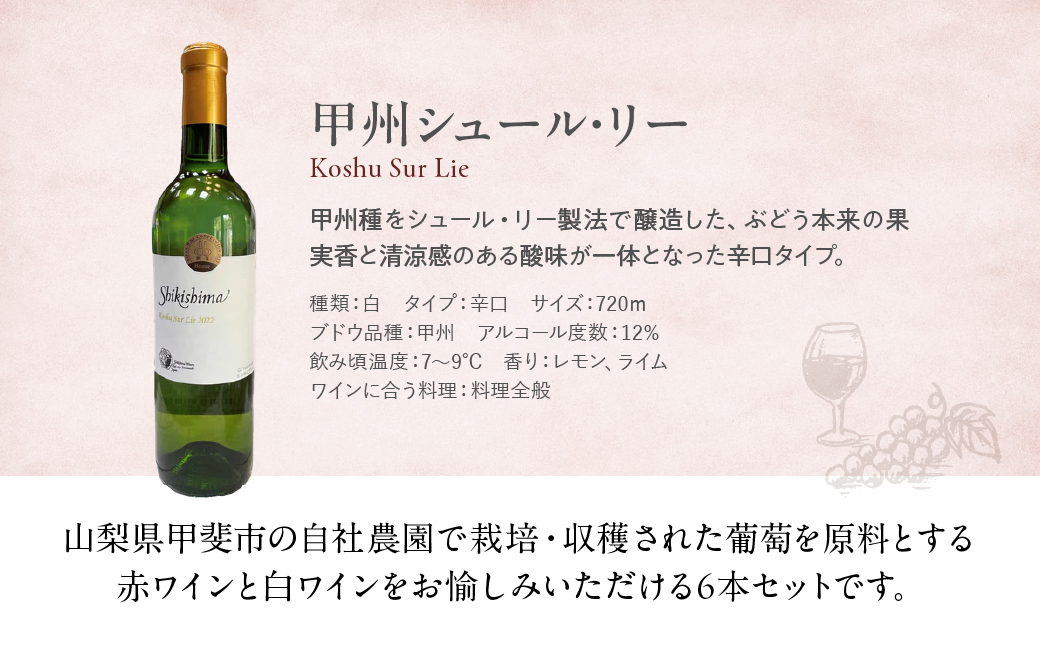 敷島醸造　甲州&マスカットべーリーA6本セット