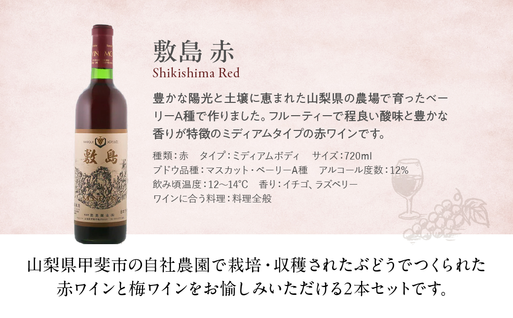 敷島醸造　敷島　赤・甲州小梅ワインセット
