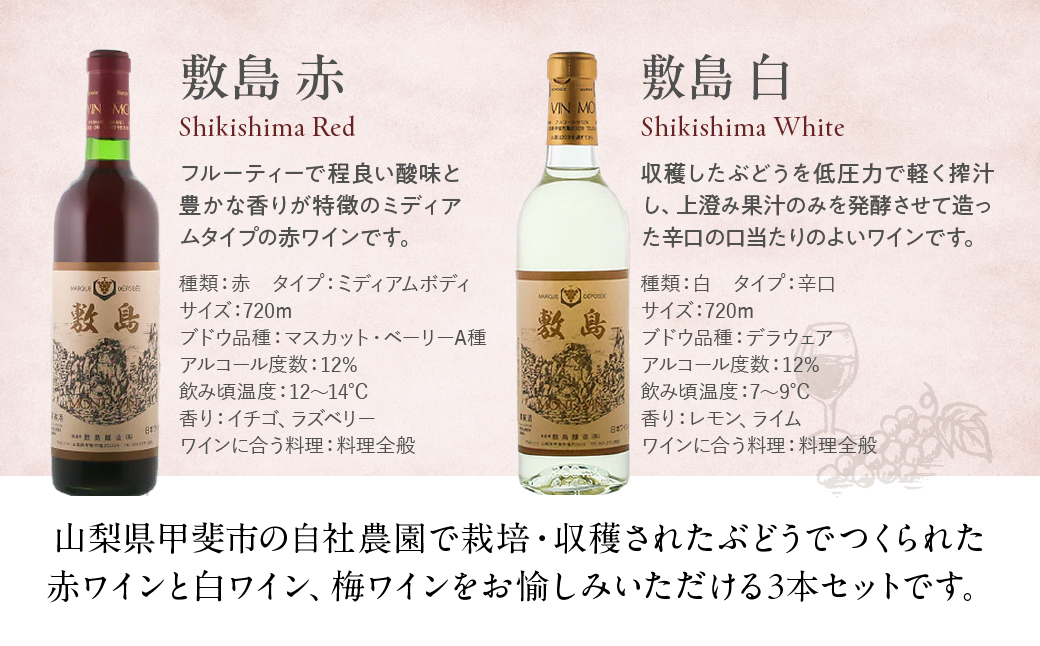 敷島醸造　敷島　赤&白・甲州小梅ワインセット