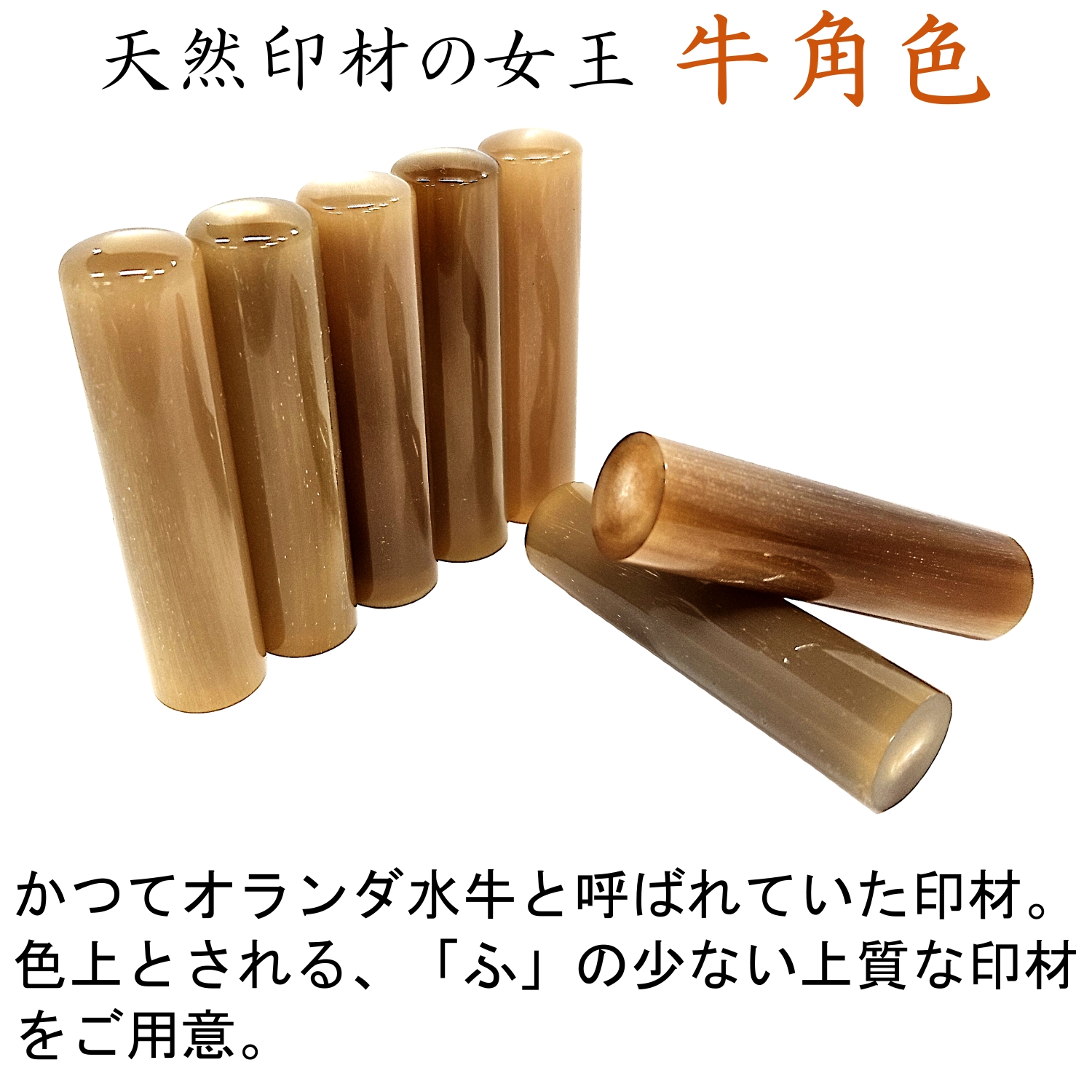 命名桐箱　牛角色（上材）15㎜印鑑セット