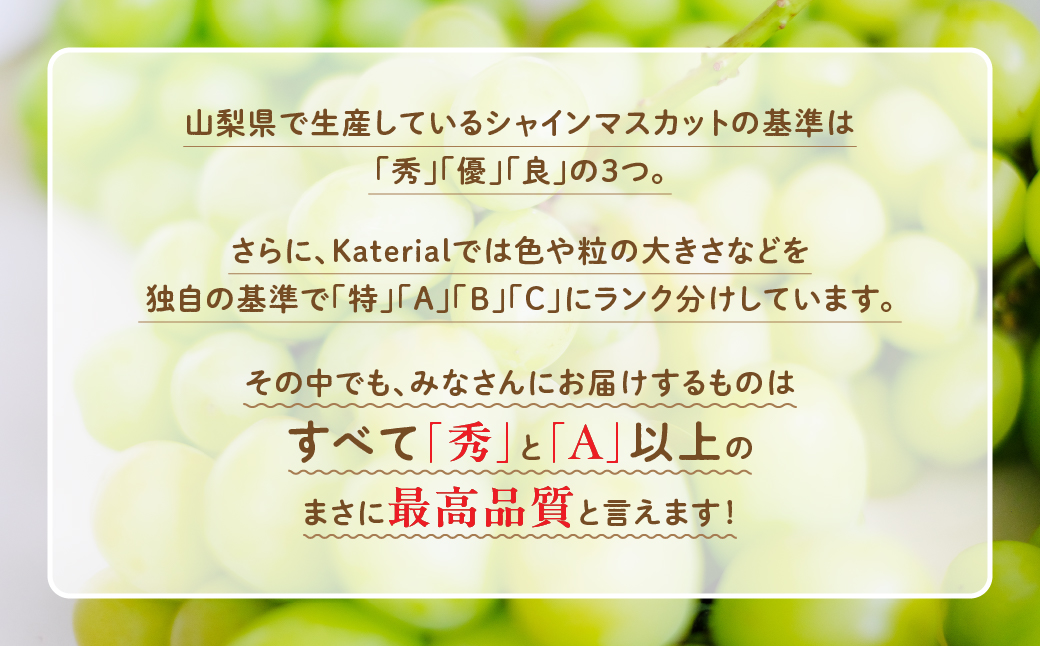 【来年（2026年/令和8年）発送分】先行予約　山梨県産　シャインマスカット　2.0kg相当