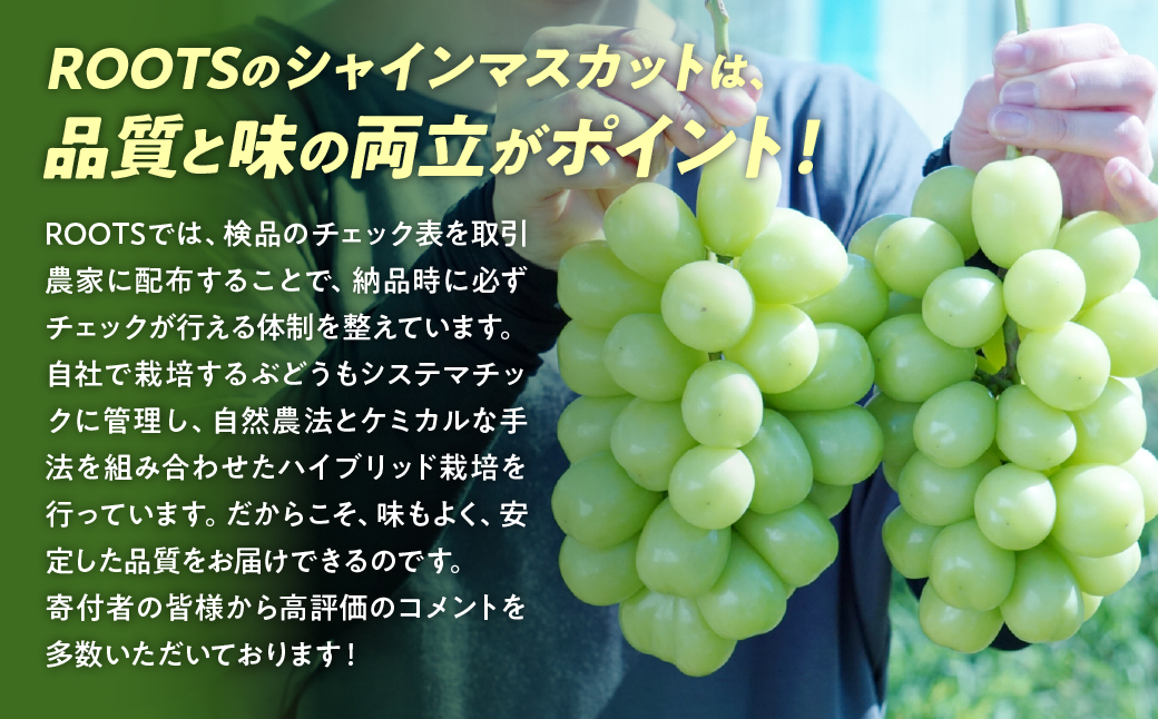 【来年（2026年/令和8年）発送＜先行予約＞】山梨県産　土にこだわったシャインマスカット 2㎏ 3房以上 先行予約 国産 産地直送 人気 おすすめ 贈答 ギフト お取り寄せ フルーツ 果物 くだもの ぶどう ブドウ 葡萄 新鮮 甘い 皮ごと 甲斐市