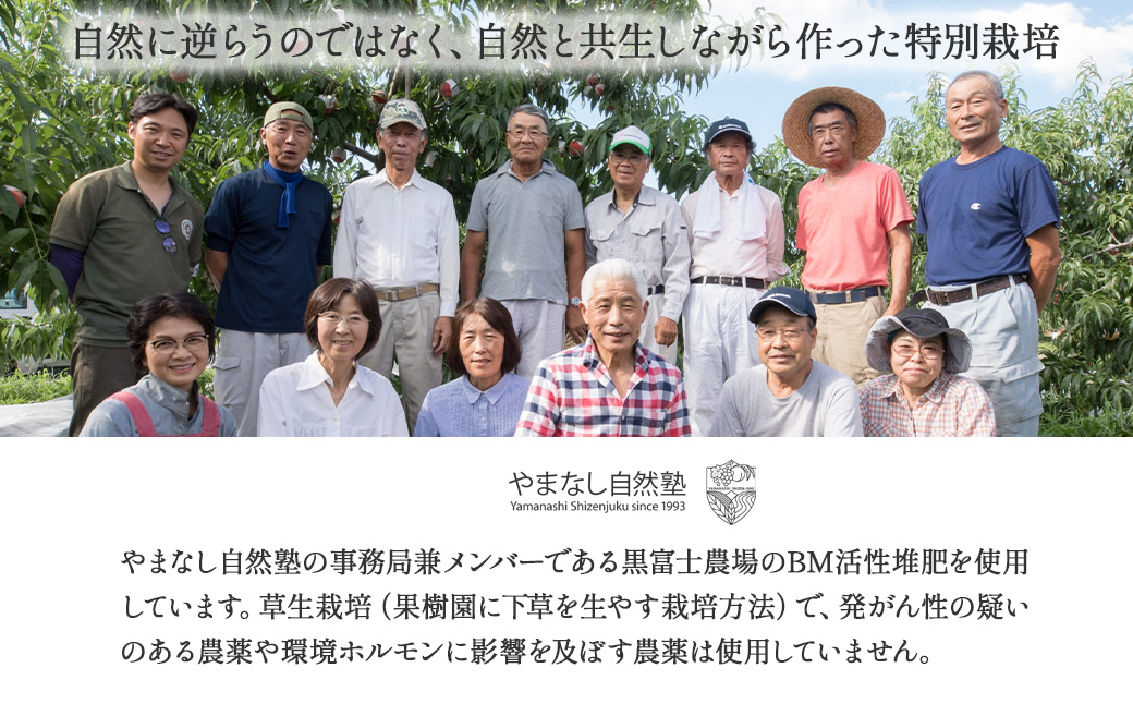 【2026年/令和8年発送】特別栽培』自然塾夏のシャインマスカット 1.8㎏ ご家庭用 シャインマスカット 先行予約 先行 予約 山梨県産 国産 甲斐市 産地直送 人気 おすすめ 贈答 ギフト お取り寄せ フルーツ 果物 くだもの ぶどう ブドウ 葡萄 新鮮 甘い 皮ごと BM-4