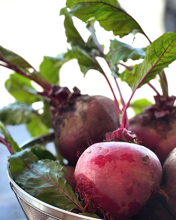 甲斐市産　農薬不使用ビーツを使った「ゴロゴロビーツとオーガニックビーフのボルシチ」