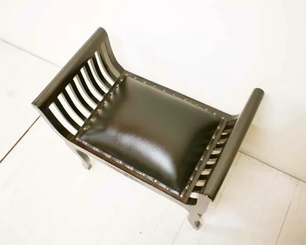 REMカルティニチェア（猫足　クッション付）BV-52