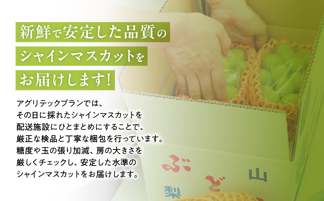 山梨県産　【☆先行予約☆2025年/令和7年発送分】シャインマスカット「こだわり」１kg以上　2～3房