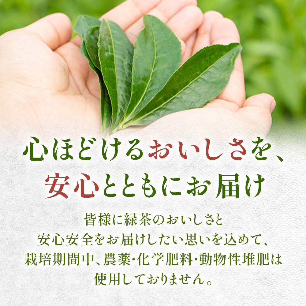 村茶季園　甲斐亀沢（紅茶）ティーバッグ　20袋入　CS-6　農薬不使用　化学肥料不使用
