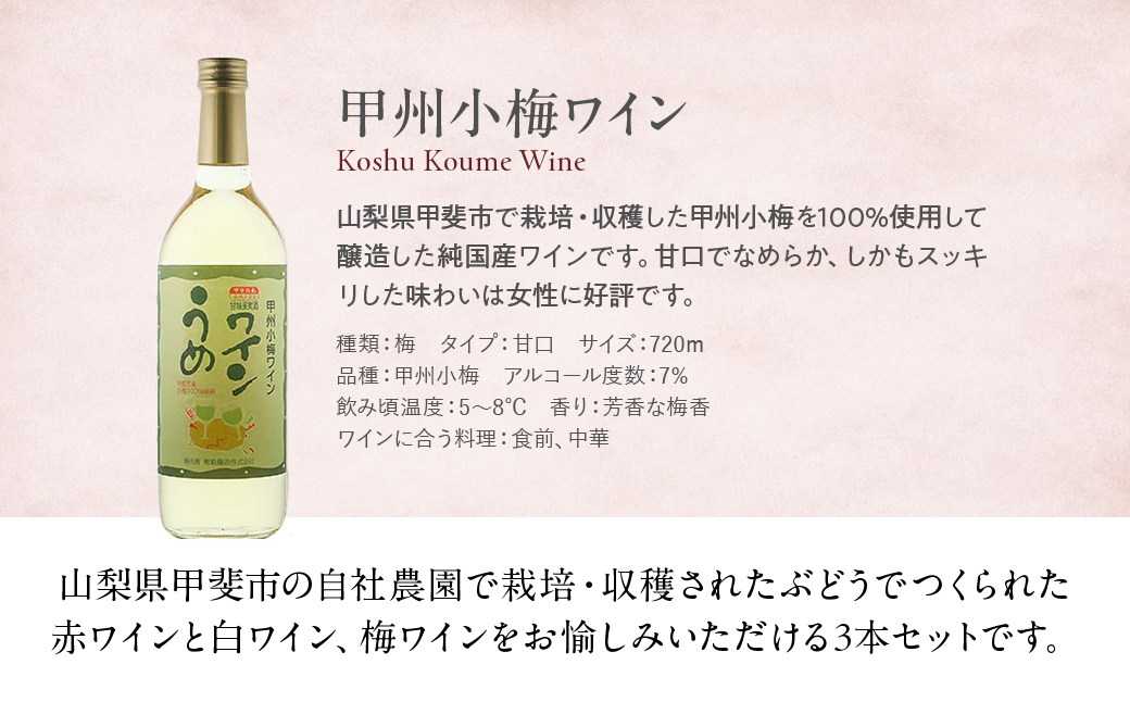 敷島醸造　敷島　赤&白・甲州小梅ワインセット