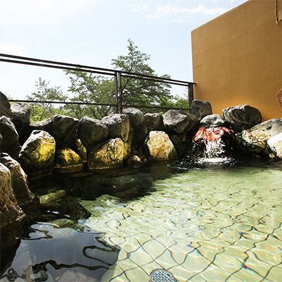 温泉満喫!和室素泊り　ペア宿泊券