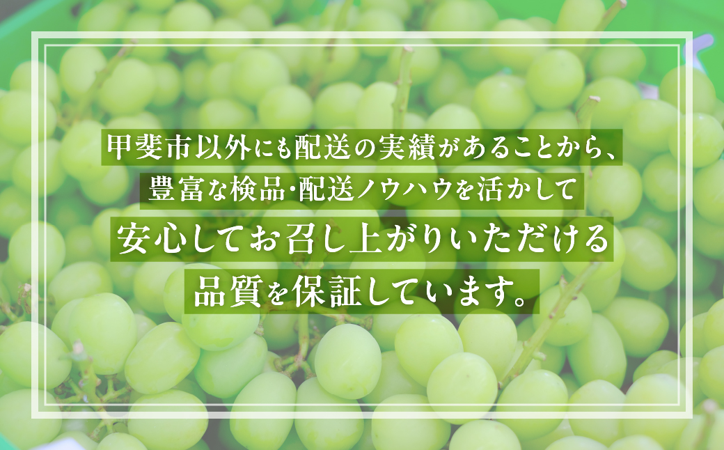 山梨県産　【☆先行予約☆2025年/令和7年発送分】シャインマスカット「こだわり」１kg以上　2～3房