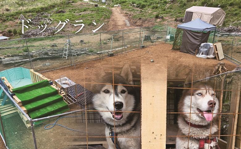 【1日10組限定】AREA1000　遊べるお山で1泊2日　CU-4