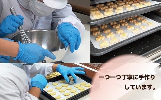 はっぴぃクッキーセット（計10袋）　DD-2　農福連携
