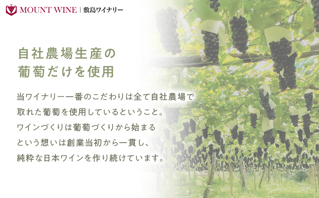 ベーリーAロゼスパークリング