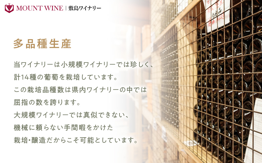 甲州種を原料とした山梨県産100％ 甲州 白ワイン 720ml ワイン わいん 日本ワイン 国産ワイン 辛口 山梨 甲斐市 F-40