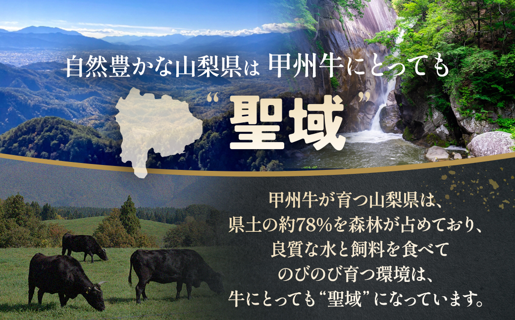 旨みたっぷり、牛タン入り本格ハンバーグ8個（AD266）