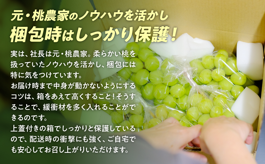 【来年（2026年/令和8年）発送＜先行予約＞】山梨県産　訳あり 2.3kg 3房以上 シャインマスカット 先行予約 国産 産地直送 人気 おすすめ 贈答 ギフト お取り寄せ フルーツ 果物 くだもの ぶどう ブドウ 葡萄 わけあり ワケアリ 新鮮 甘い 皮ごと 甲斐市