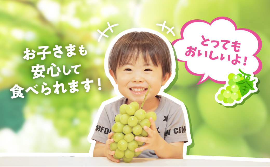 【来年（2026年/令和8年）発送＜先行予約＞】山梨県産　『特別栽培』自然塾夏のシャインマスカット（約1.2㎏）