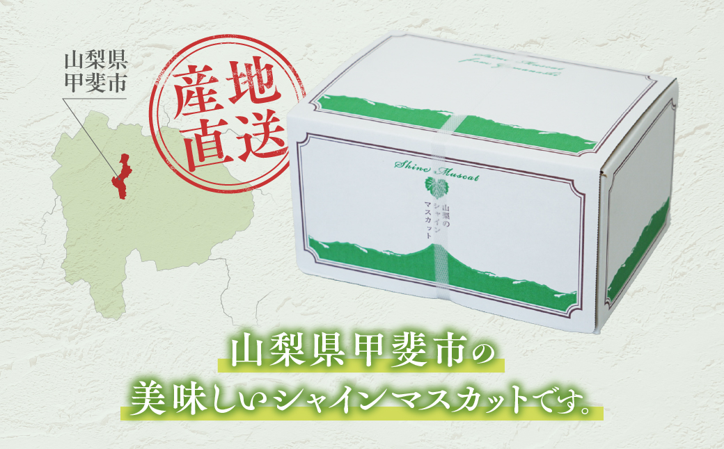 山梨県産　【☆先行予約☆2025年/令和7年発送分】シャインマスカット「こだわり」650g以上