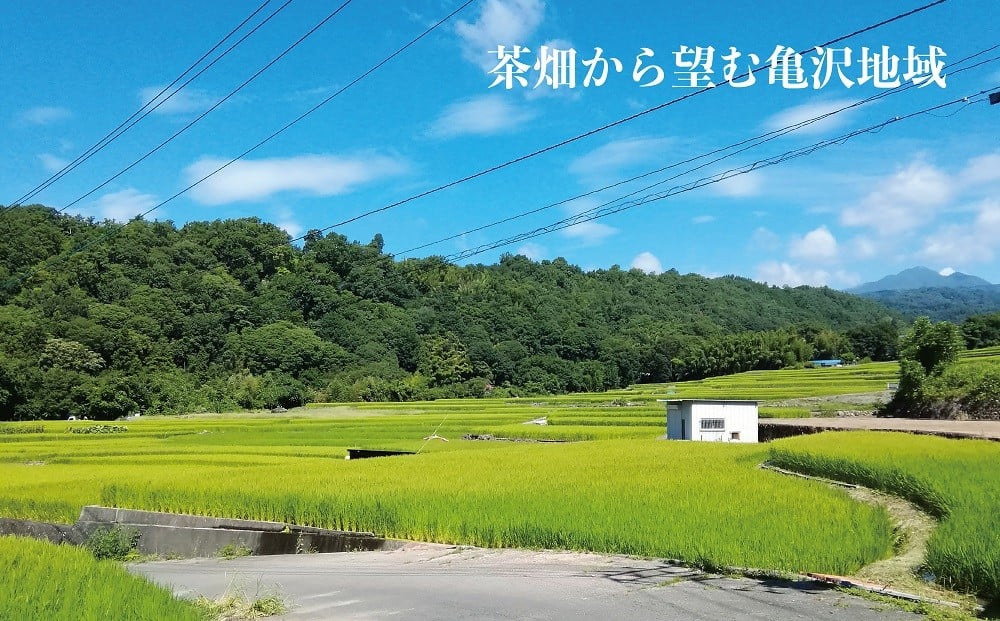 村茶季園　甲斐亀沢（ほうじ茶）ティーバッグ20袋入　CS-3　農薬不使用　化学肥料不使用