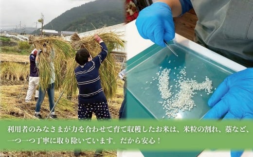 はっぴぃ米（ヒノヒカリ）DD-1