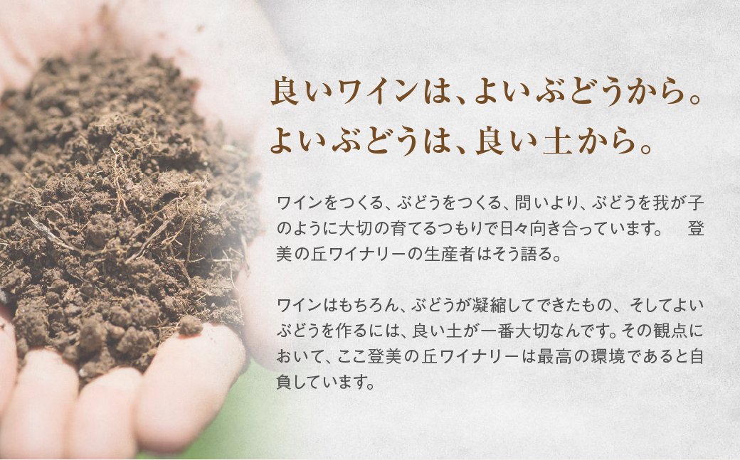 サントリー登美の丘ワイナリー　限定赤白ワインセット　フロムファーム　甲斐　白　2022　＆　登美の丘　ブラック・クイーン＆マスカット・ベーリーA　2020