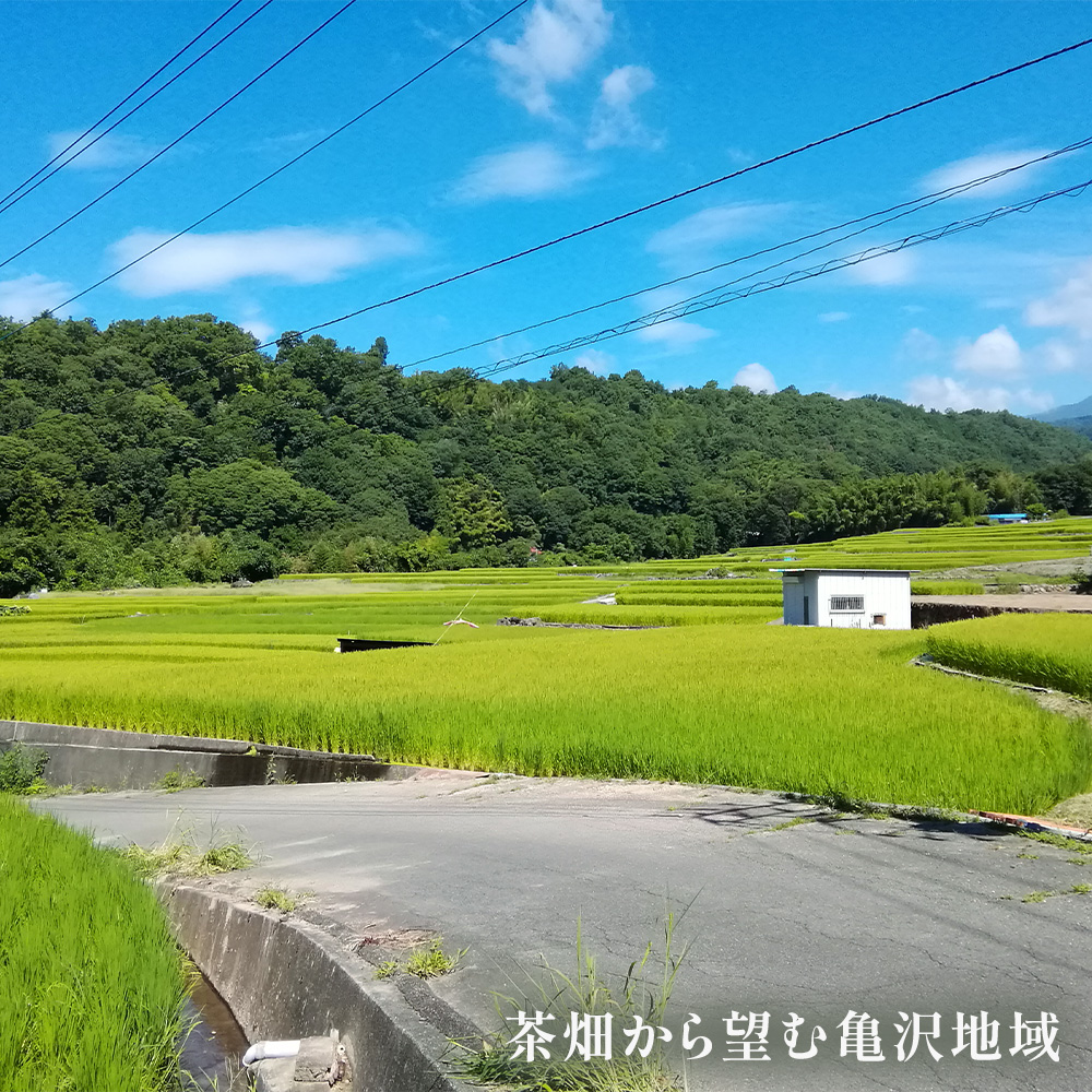 村茶季園　甲斐亀沢　お茶詰め合わせ（ティーバッグ）　CS-8　農薬不使用　化学肥料不使用