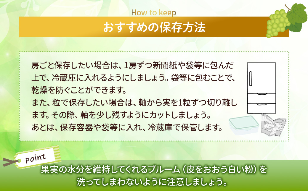 【来年（2026年/令和8年）発送＜先行予約＞】山梨県産　『特別栽培』自然塾夏のシャインマスカット（約1.2㎏）