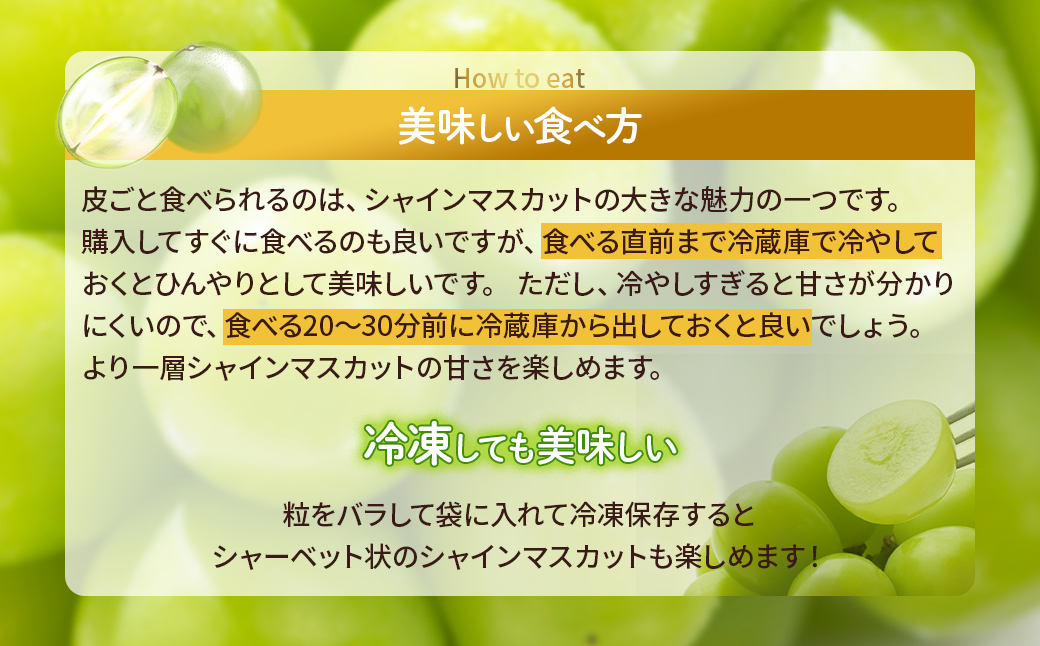 【来年（2026年/令和8年）発送＜先行予約＞】山梨県産　減農薬シャインマスカット1.2㎏／2房
