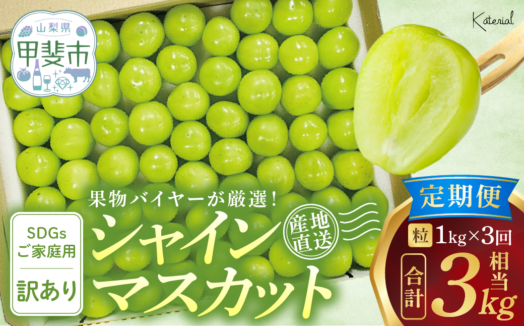 【来年（2026年/令和8年）発送＜先行予約＞】【訳アリ】【定期便】粒シャインマスカット 約1.0㎏×3回 山梨県産 国産 産地直送 人気 おすすめ フルーツ 果物 くだもの ぶどう ブドウ 葡萄 わけあり ワケアリ 新鮮 甘い 皮ごと 山梨県 甲斐市 AD-278