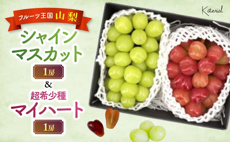 【2026年発送】山梨県産シャインマスカット（1房）&マイハート（1房）約1.2㎏［ぶどう　葡萄　シャイン　シャインマスカット　マイハート　くだもの　果物　フルーツ　人気　2種　詰め合わせ　ギフト　贈答　新鮮　山梨県　山梨　甲斐市］