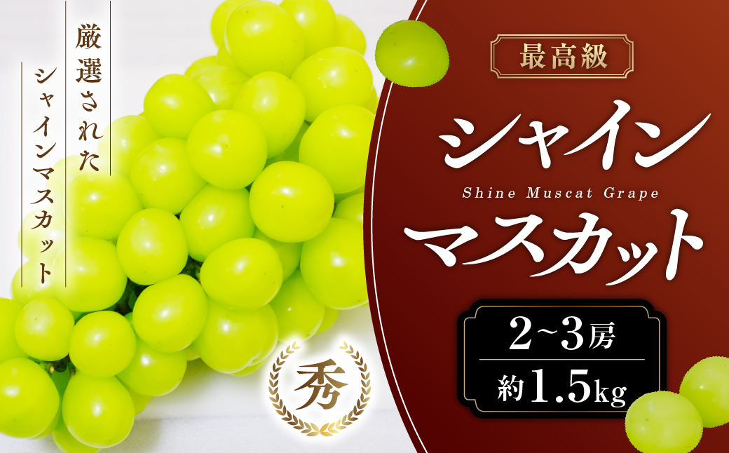 【2025年/令和7年発送分】最高級 山梨県産　シャインマスカット 2～3房 約1.5㎏ 先行予約 産地直送 フルーツ 果物 くだもの ぶどう ブドウ 葡萄 シャイン シャインマスカット 新鮮 人気 おすすめ 国産 贈答 ギフト お取り寄せ 山梨 甲斐市 AN-11