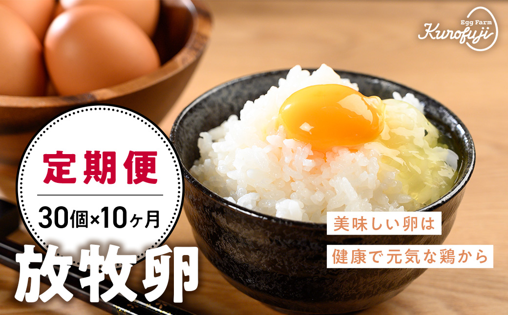 黒富士農場の放牧卵30個×10ヶ月