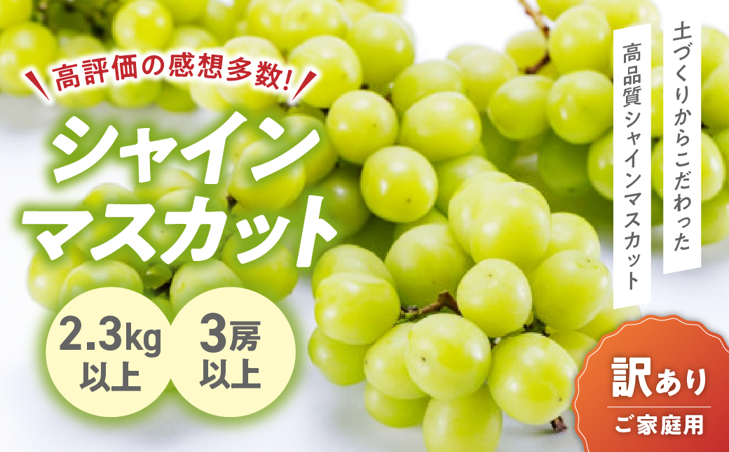 【来年（2026年/令和8年）発送＜先行予約＞】山梨県産　訳あり 2.3kg 3房以上 シャインマスカット 先行予約 国産 産地直送 人気 おすすめ 贈答 ギフト お取り寄せ フルーツ 果物 くだもの ぶどう ブドウ 葡萄 わけあり ワケアリ 新鮮 甘い 皮ごと 甲斐市