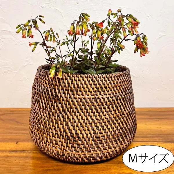 ラタンコロンバスケット（Mサイズ）BV-66