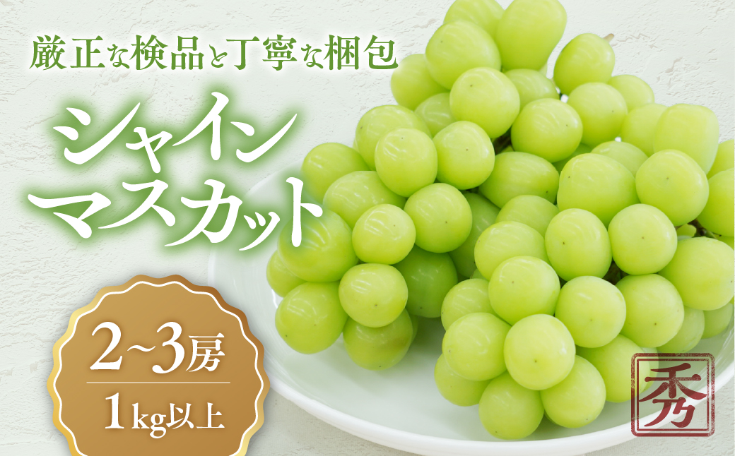 山梨県産　【☆先行予約☆2025年/令和7年発送分】シャインマスカット「こだわり」１kg以上　2～3房