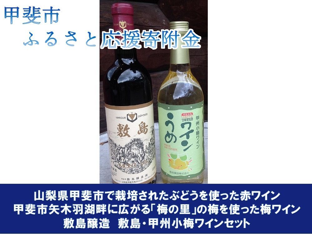 敷島醸造　敷島　赤・甲州小梅ワインセット