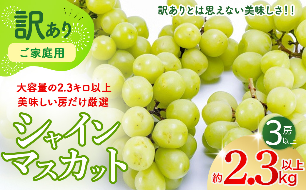 [2025年発送]訳あり 2.3kg 3房以上 シャインマスカット 先行予約 山梨県産 国産 産地直送 人気 おすすめ 贈答 ギフト お取り寄せ フルーツ 果物 くだもの ぶどう ブドウ 葡萄 わけあり ワケアリ 新鮮 甘い 皮ごと 甲斐市