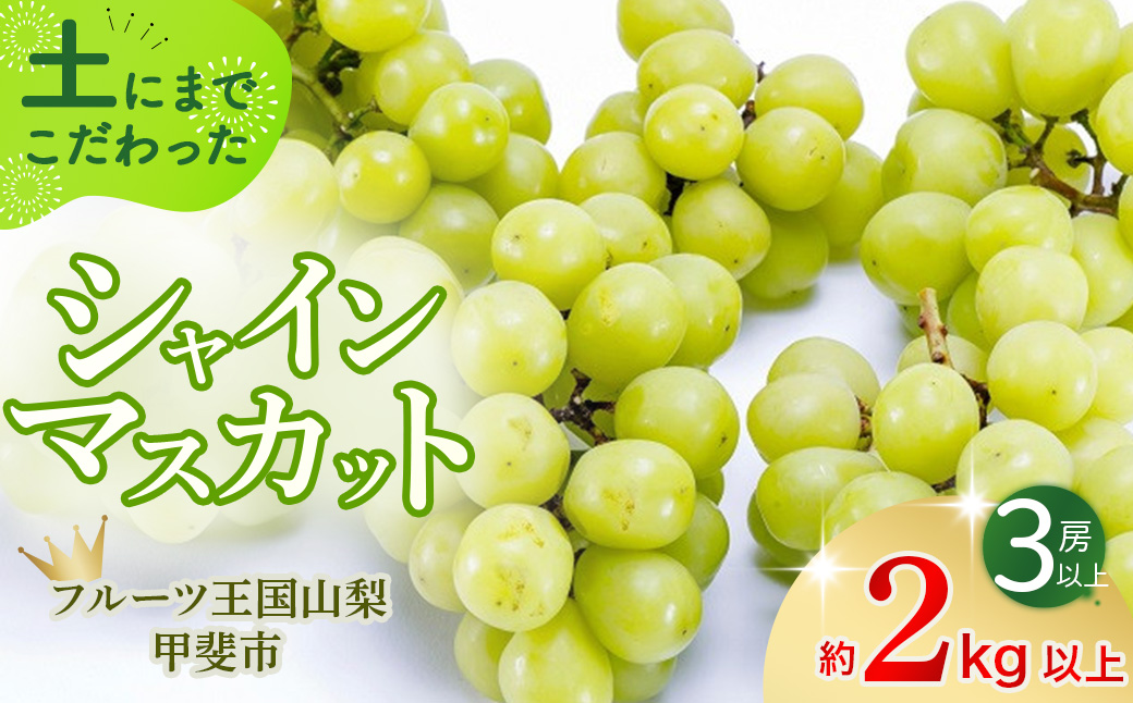 [2025年発送]土にこだわったシャインマスカット 2kg 3房以上 先行予約 山梨県産 国産 産地直送 人気 おすすめ 贈答 ギフト お取り寄せ フルーツ 果物 くだもの ぶどう ブドウ 葡萄 新鮮 甘い 皮ごと 甲斐市