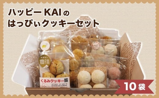はっぴぃクッキーセット(計10袋) DD-2 農福連携